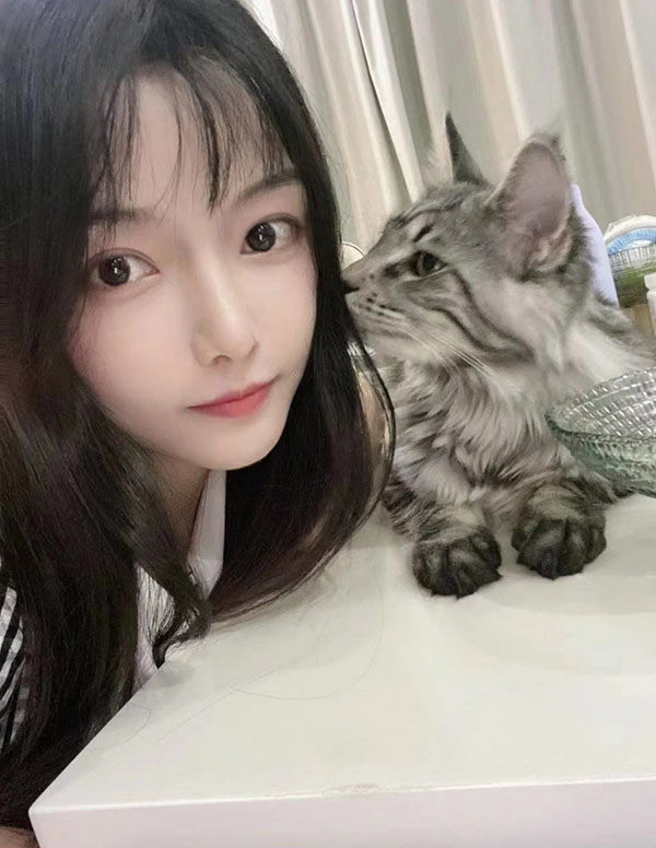 多伦多伴游服务