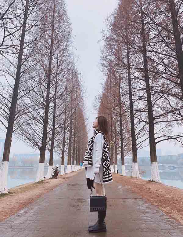 芝加哥伴游服务